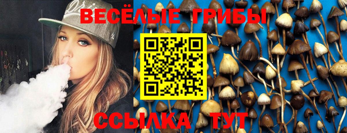 Псилоцибиновые грибы GOLDEN TEACHER  Вход с VPN  Дзержинск  Галлюциногенные грибы мицелий 