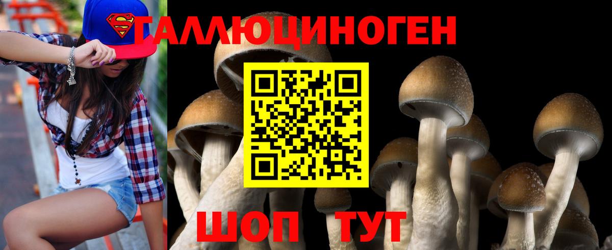Псилоцибиновые грибы Cubensis Дзержинск